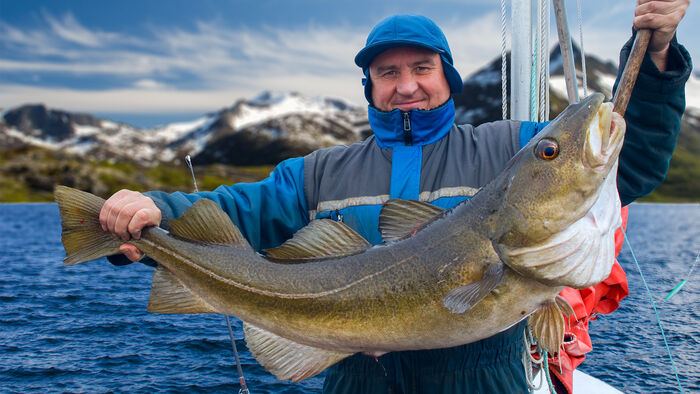 Fisherman with cod in Lofoten, Norway
