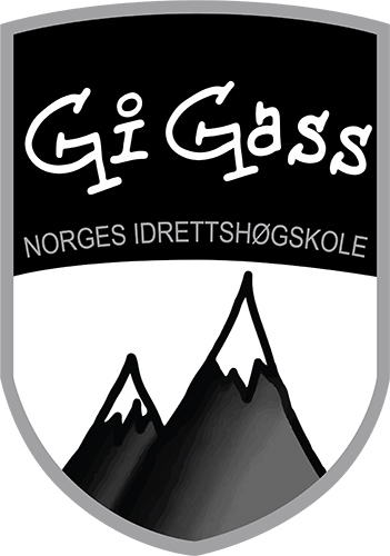 GiGass logo