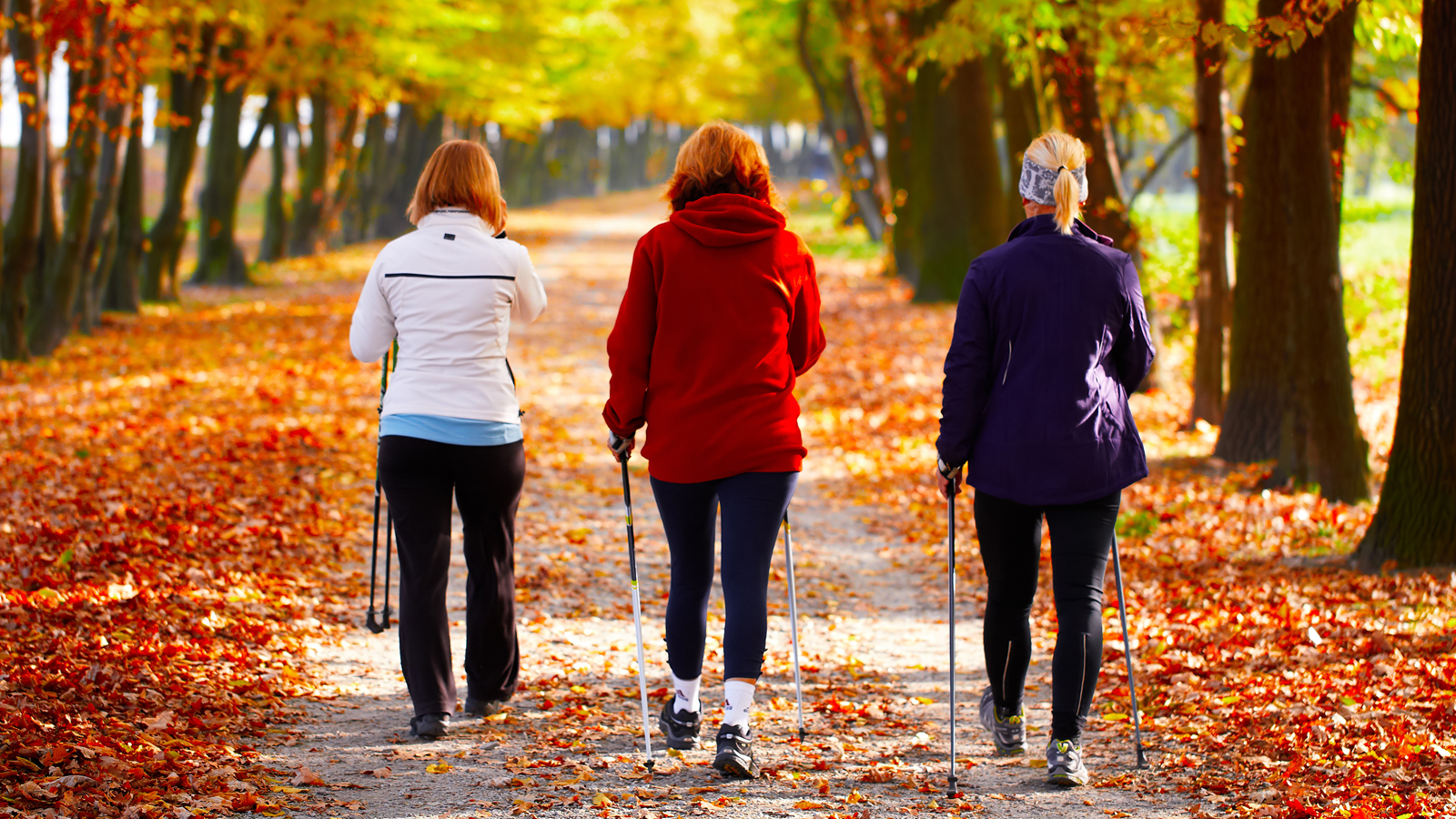 Bilde av tre kvinner som går tur i en park