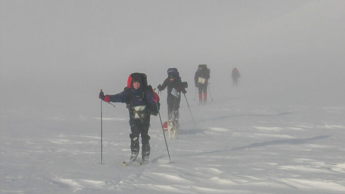 Seen trough a blizzard. A line of cross country skiers
